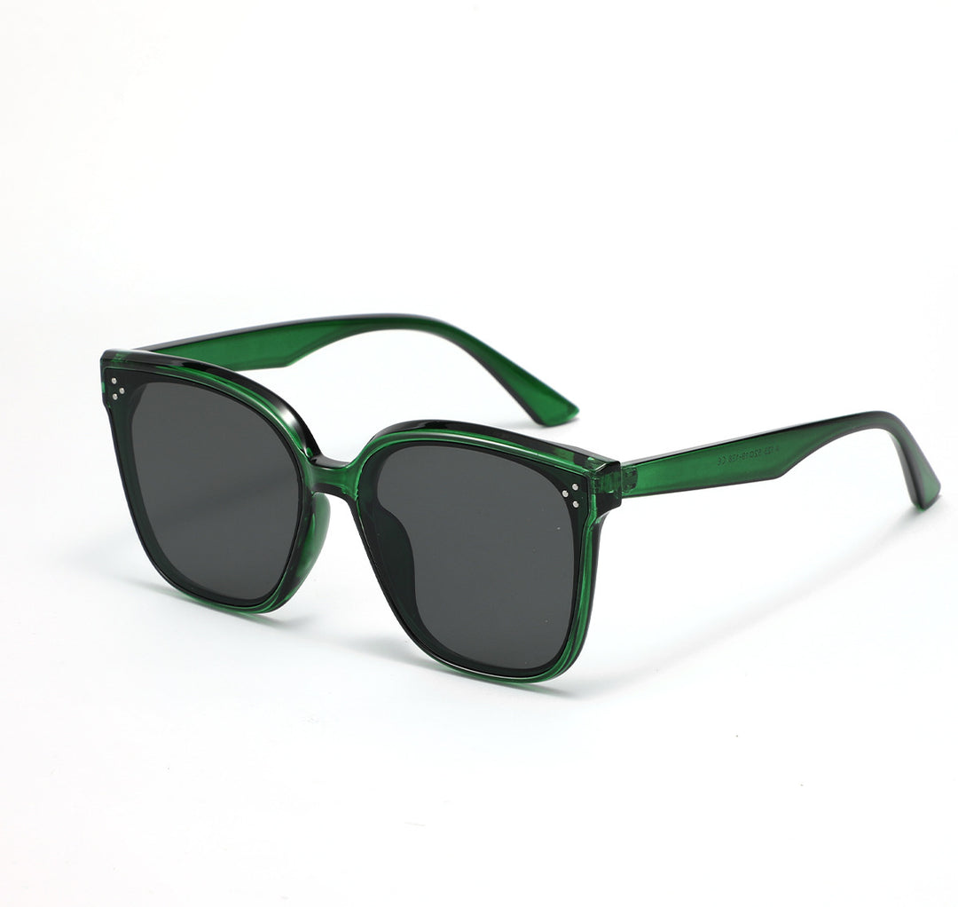 Women's fashionable sunglasses with transparent accent Stornfield