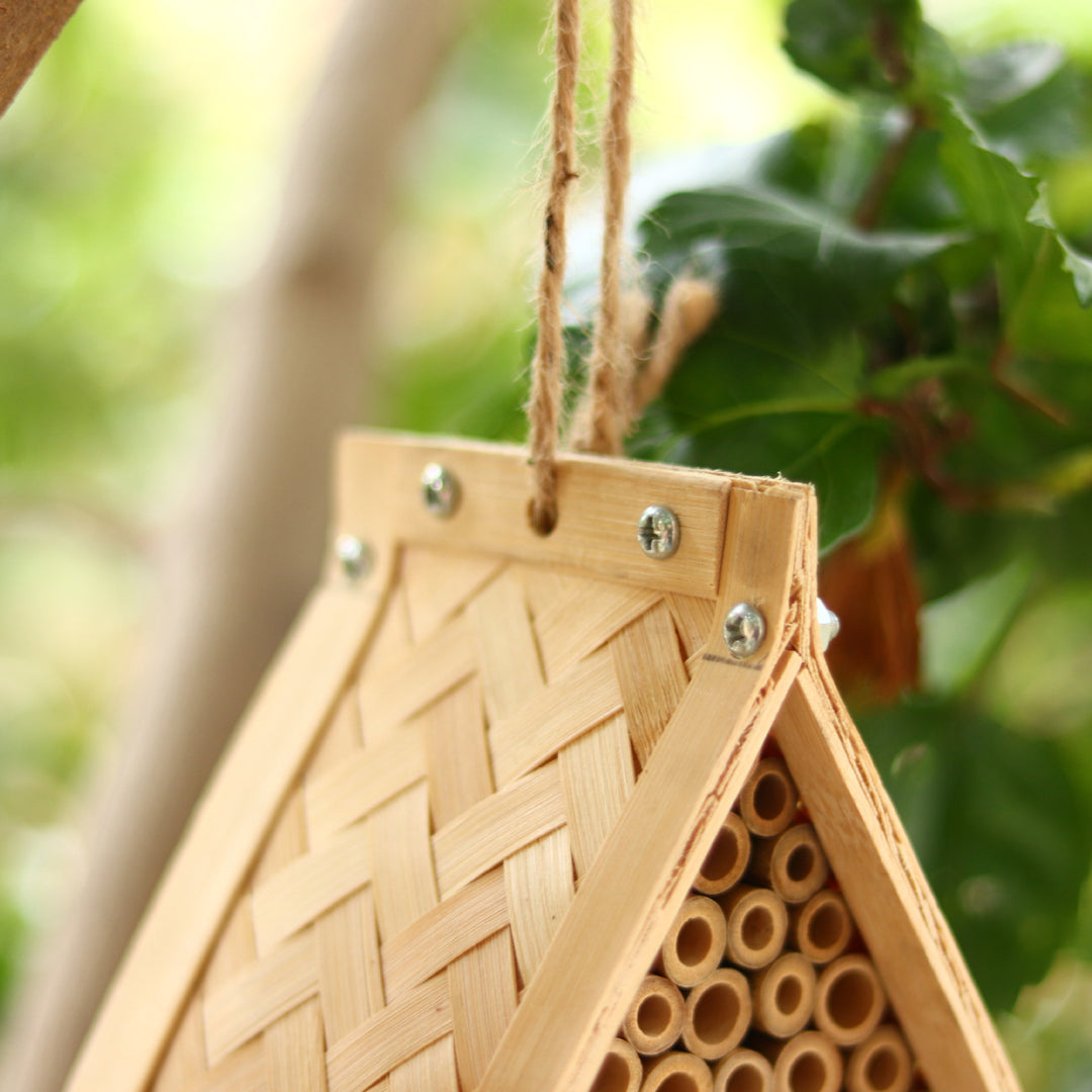 Eco-Friendly Insect Habitat Stornfield