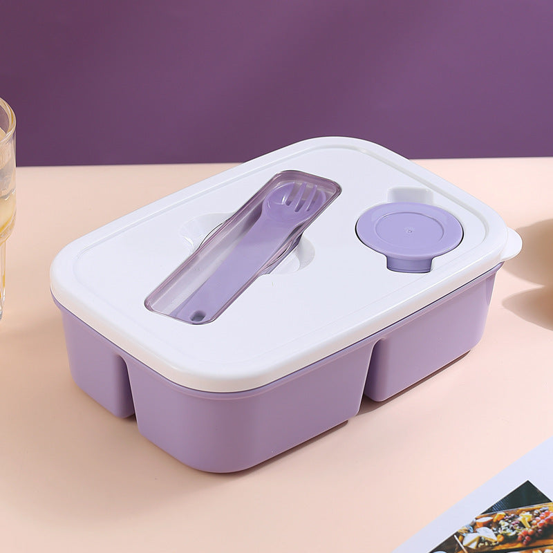 Premium Multi-Section Meal Storage Box