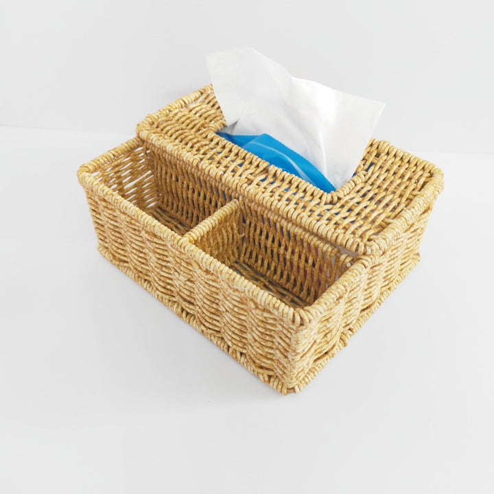 Multi-Compartment Woven Storage Organizer Stornfield