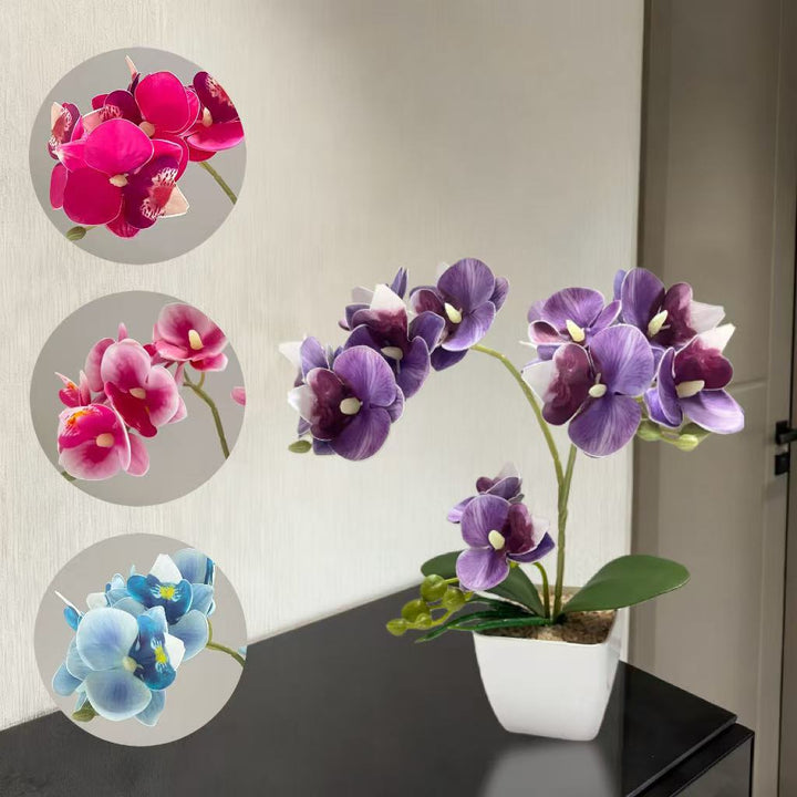Lifelike Orchid Plant Arrangement for Home Display