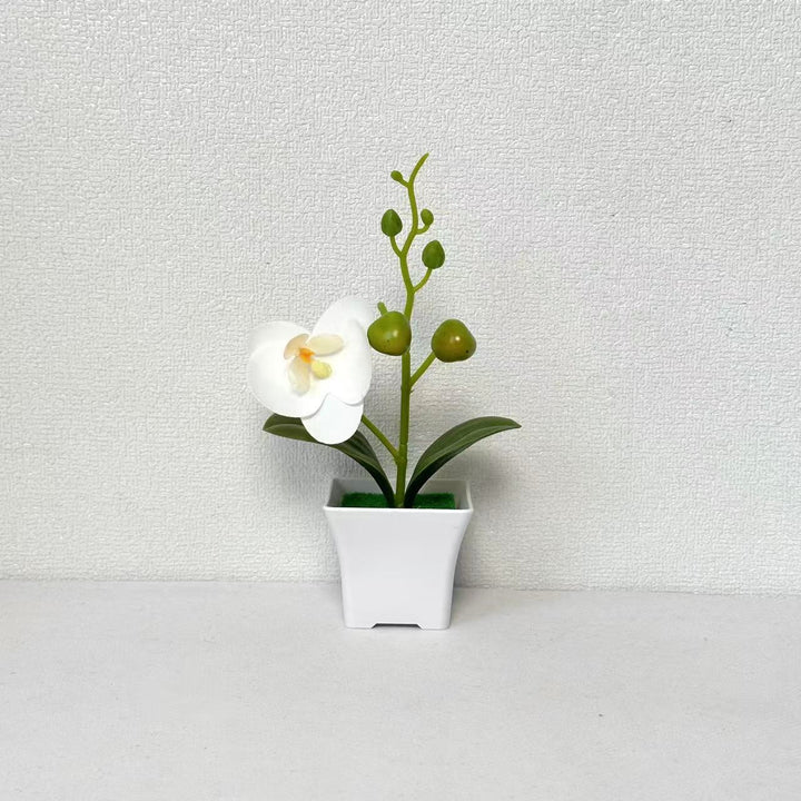 Lifelike Miniature Orchid Plant