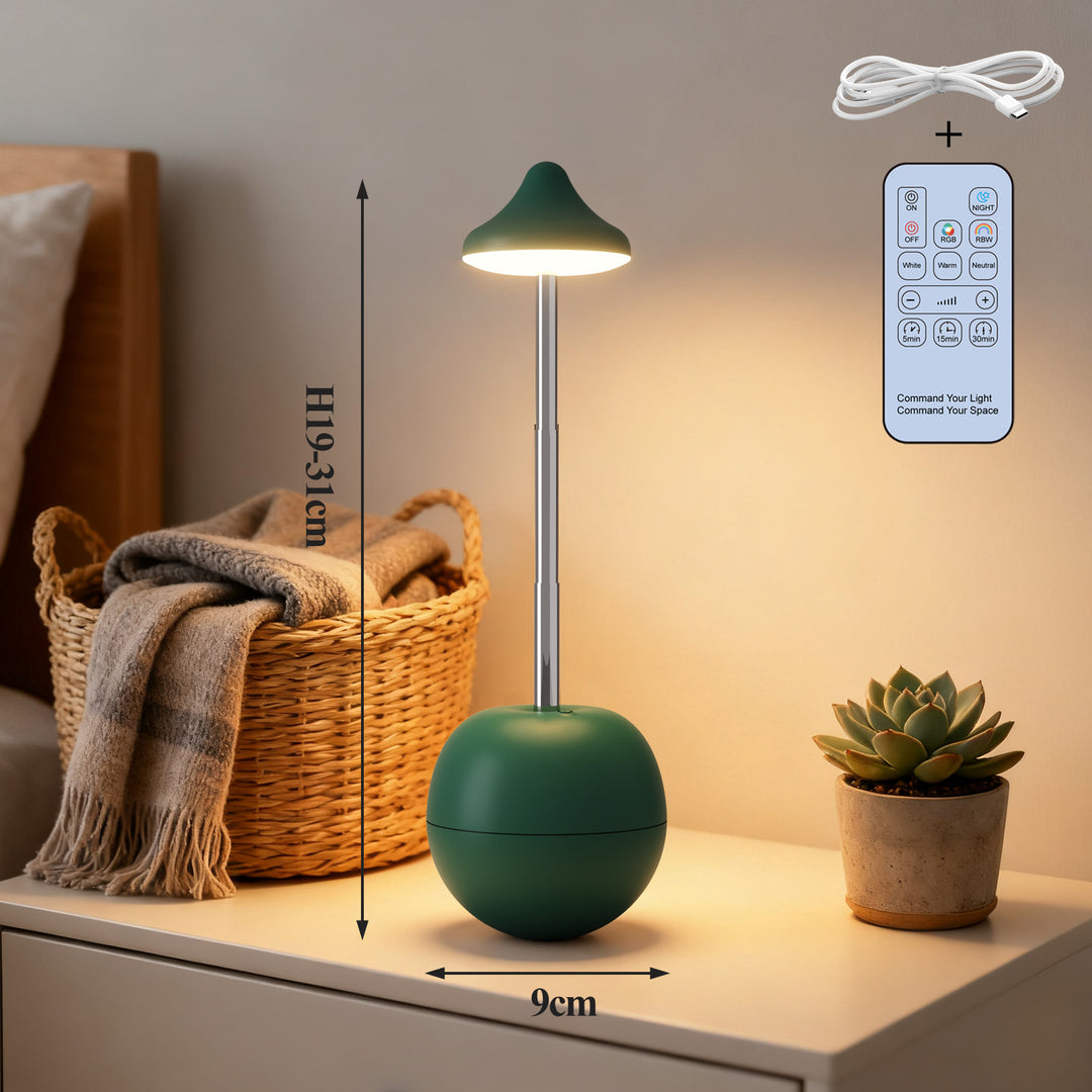 Modern Adjustable LED Desk Lamp