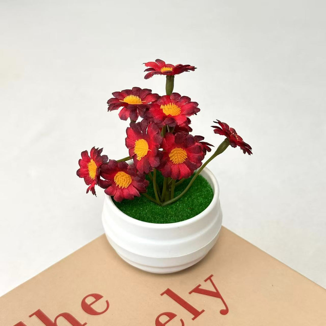 Decorative Daisy Plant Arrangement