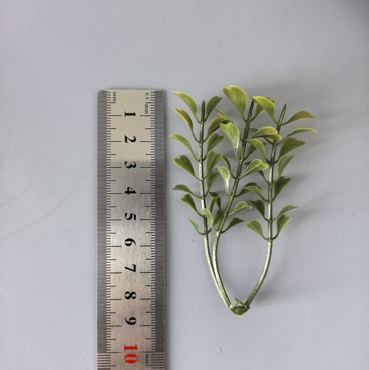Decorative Green Fern Stem