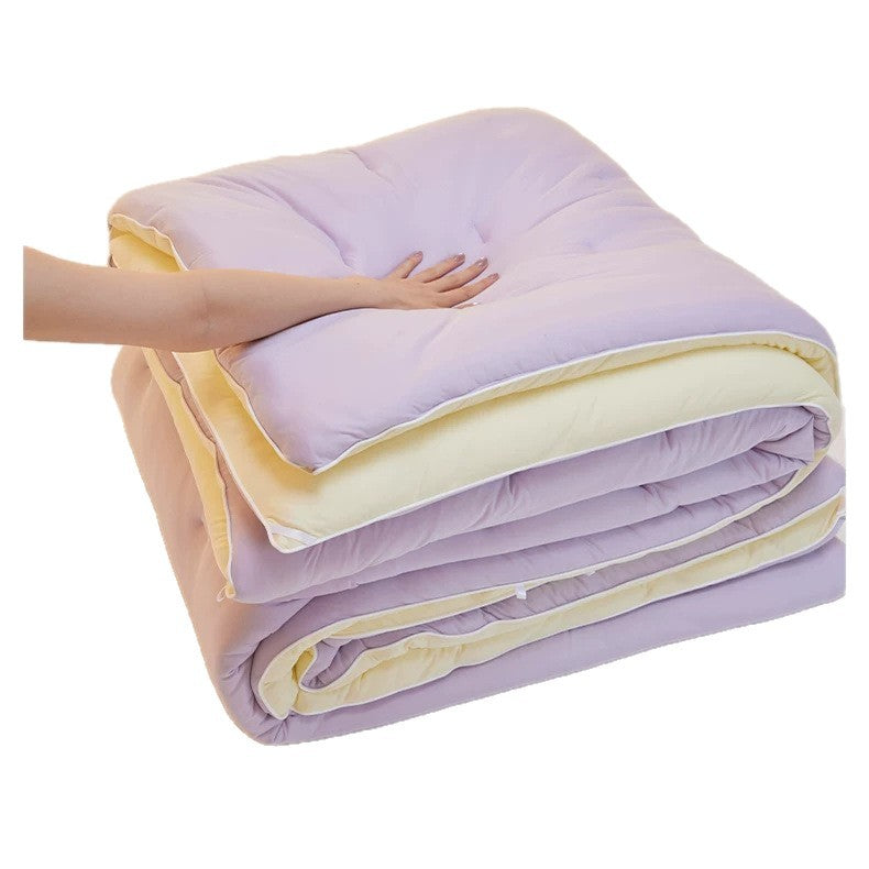 Plush Hypoallergenic Reversible Comforter