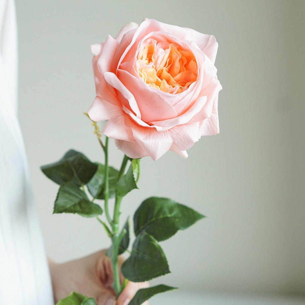 Realistic Decorative Rose Stem