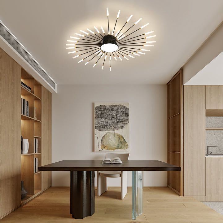 Starburst Ceiling Light