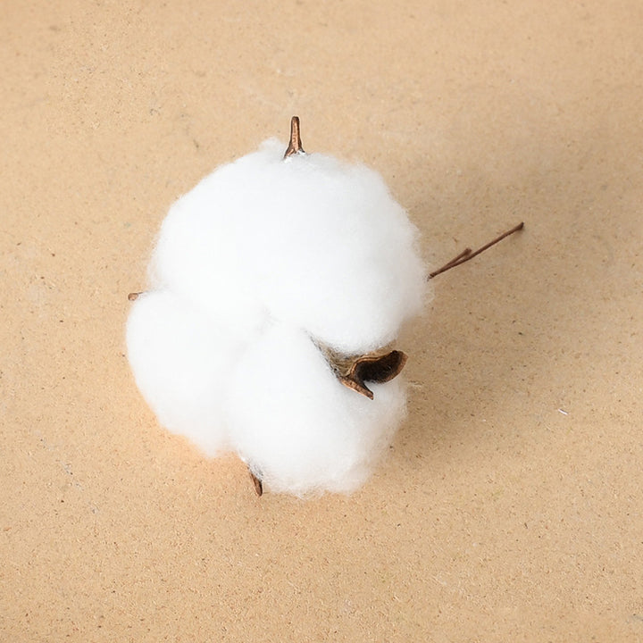 Decorative Cotton Branch Arrangement