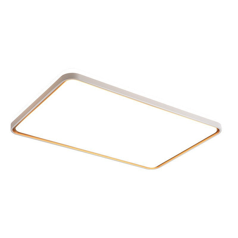 Modern Circular Ceiling Light
