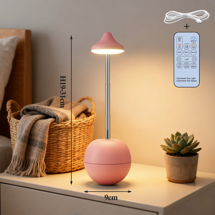 Modern Adjustable LED Desk Lamp