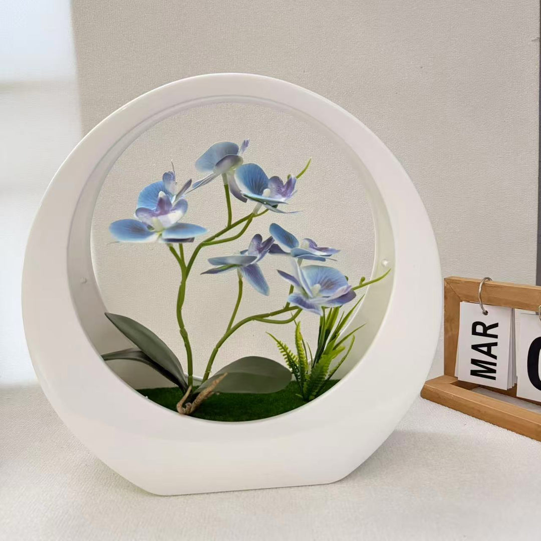 Decorative Orchid Display for Indoor Home Decor