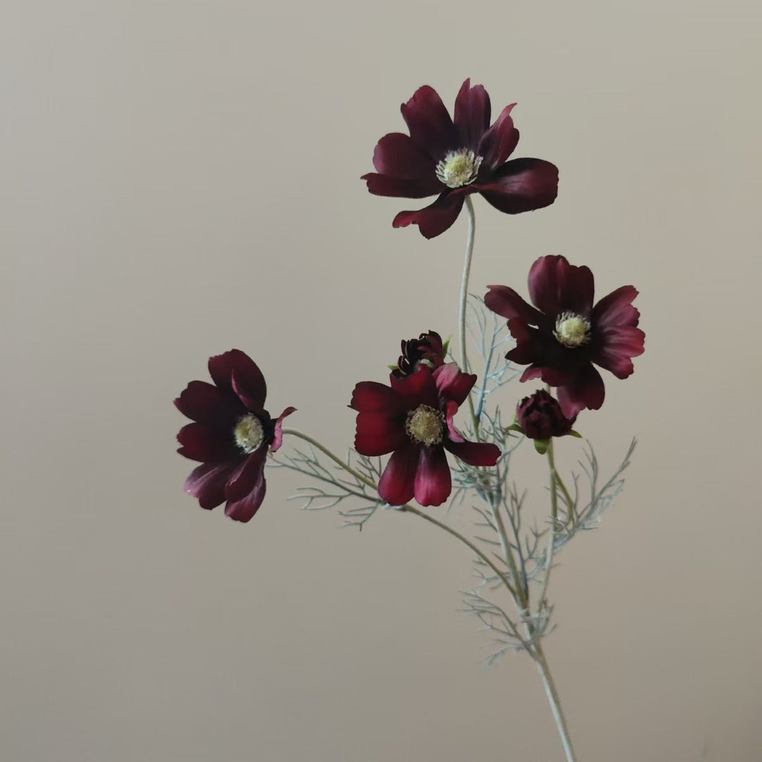 Lifelike Cosmos Flower Stem