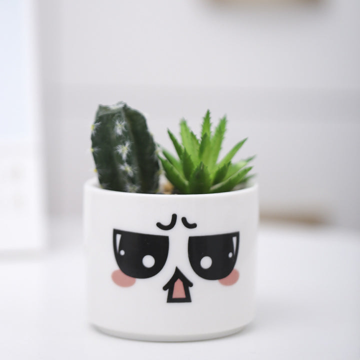 Cute Animal-Themed Succulent Planter Stornfeild