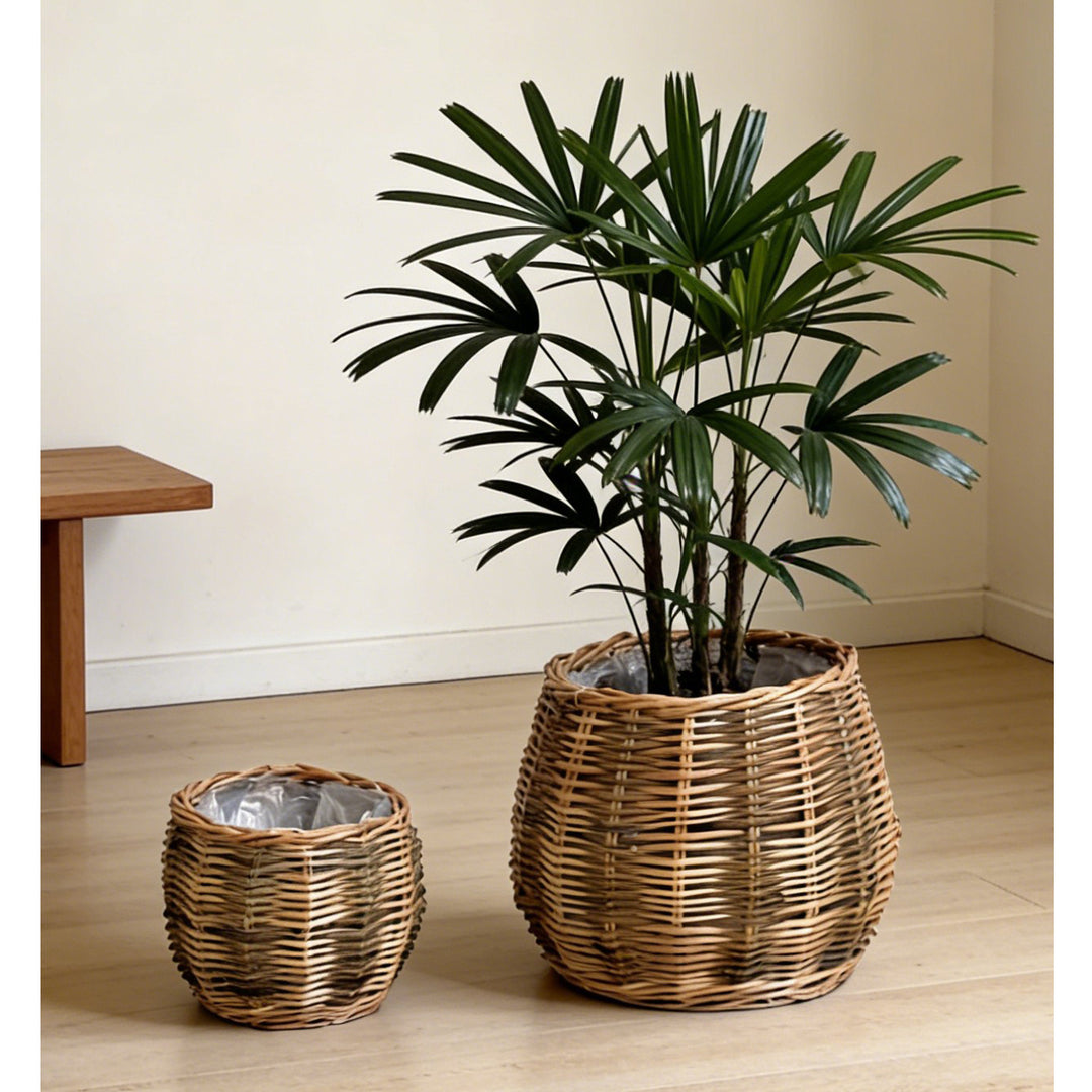 High-quality plant basket made of natural willow Stornfield