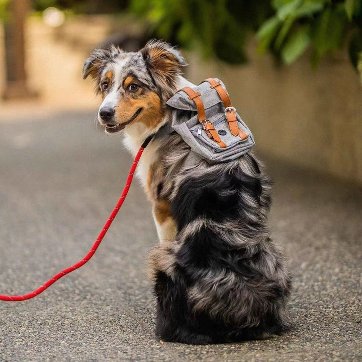 Unisex practical pet backpack with safety closure Stornfield