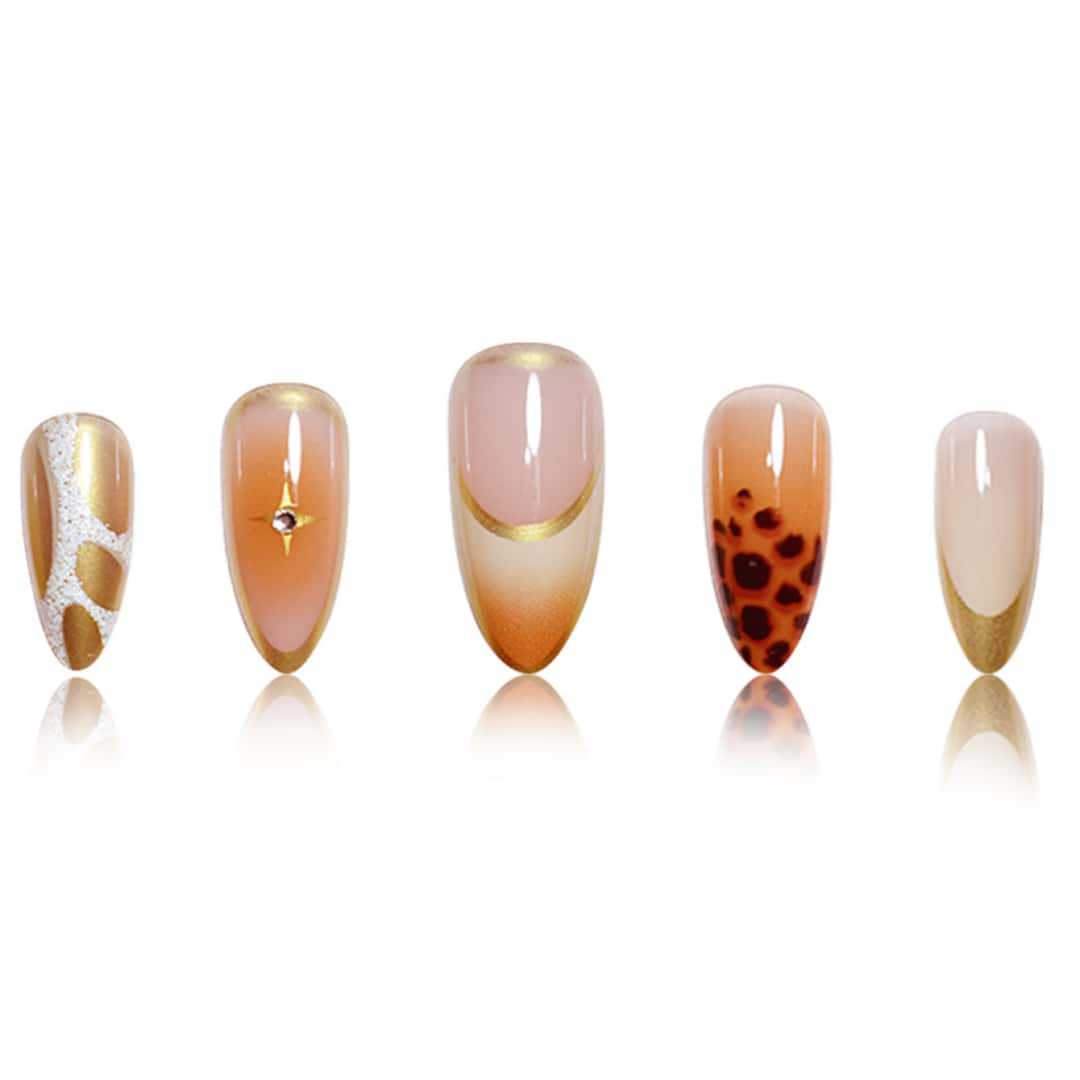 Premium Stiletto Nail Extensions with Artistic Design Stornfield