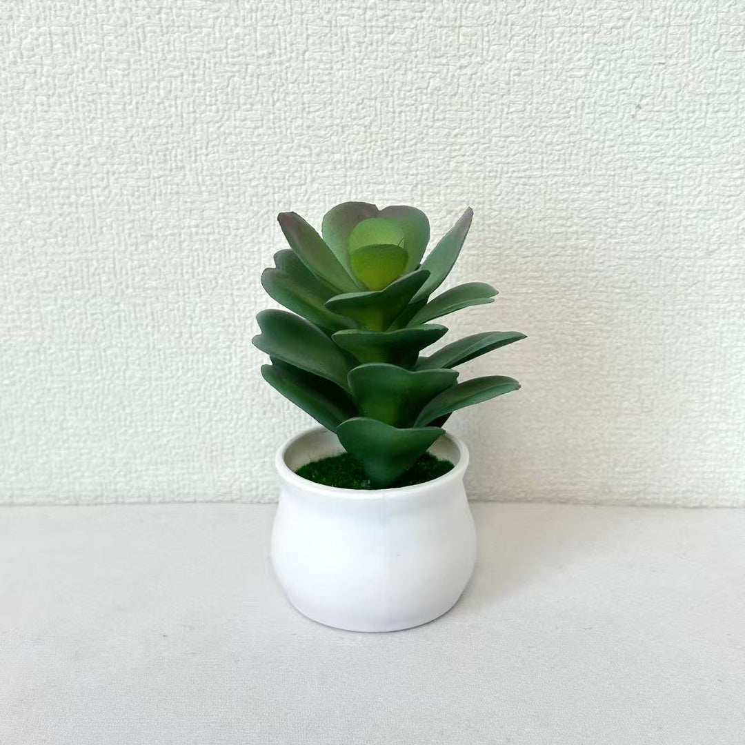 Faux Succulent Plant for Indoor Home Decor