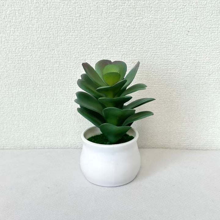 Faux Succulent Plant for Indoor Home Decor