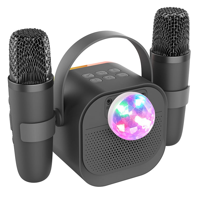 Wireless Karaoke Speaker System Stornfield