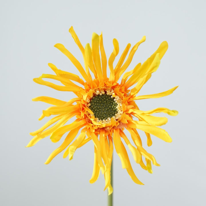 Realistic Sunflower Stem