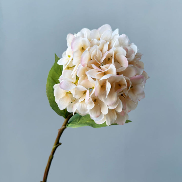 Floral Decorative