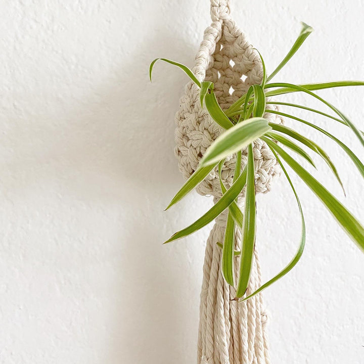 Bohemian Plant Holder Stornfield