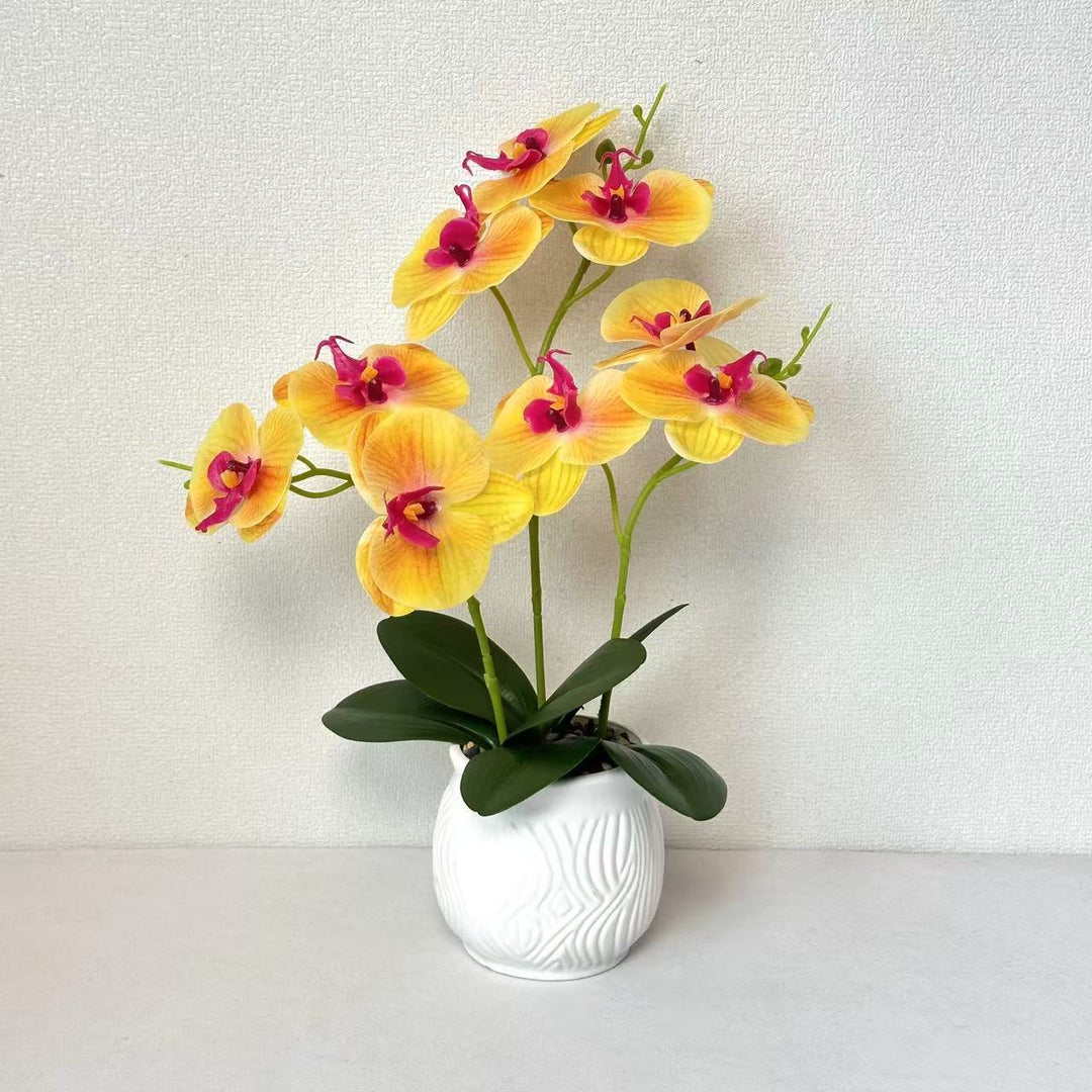Elegant Orchid Floral Display