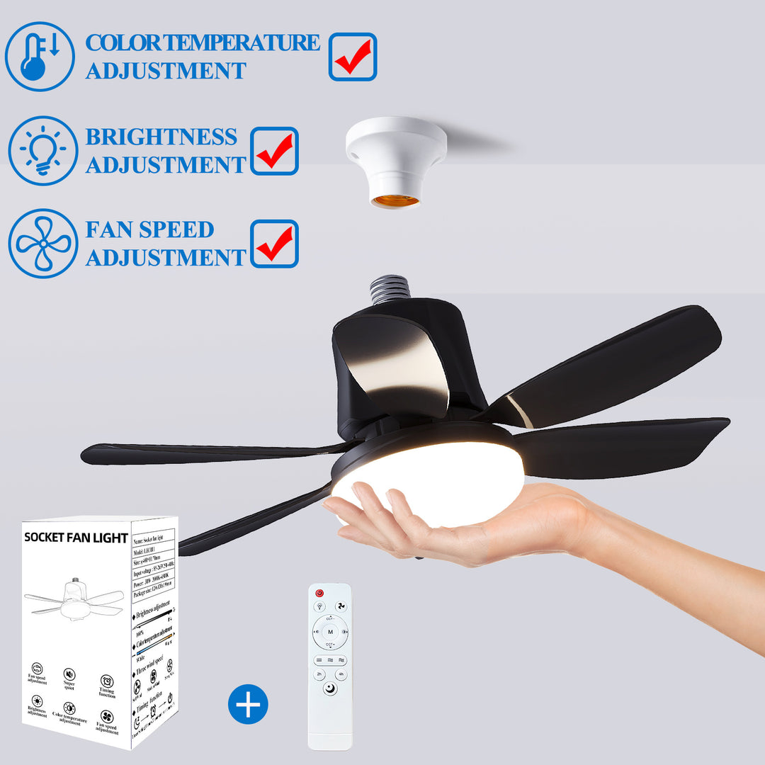 Ceiling Fan