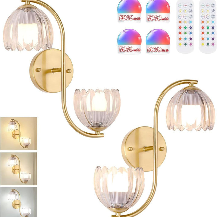 Decorative Wall Sconce