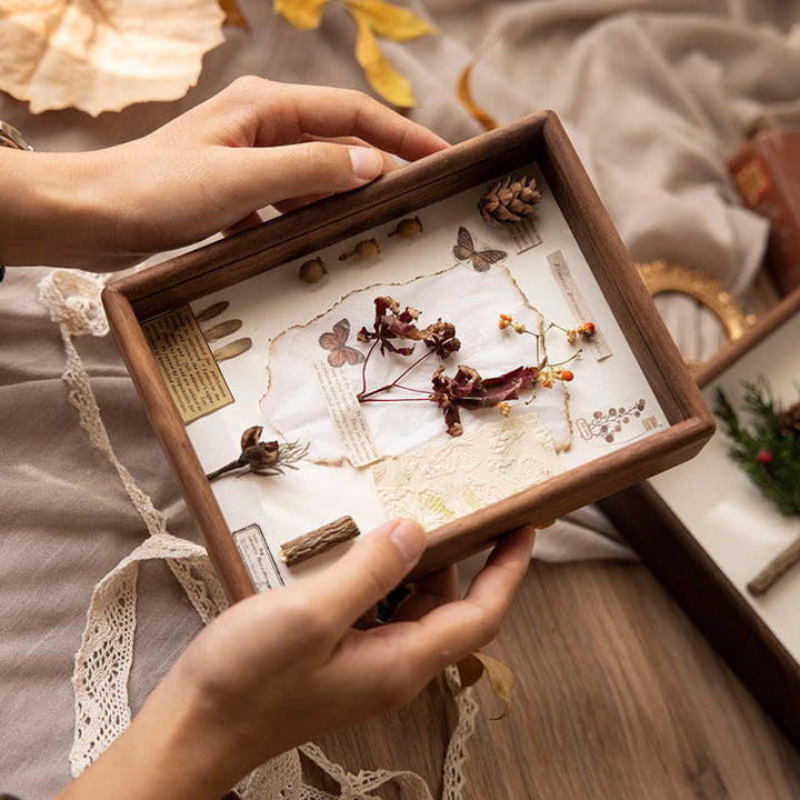 Preserved Botanical Art Frame for Home Decor