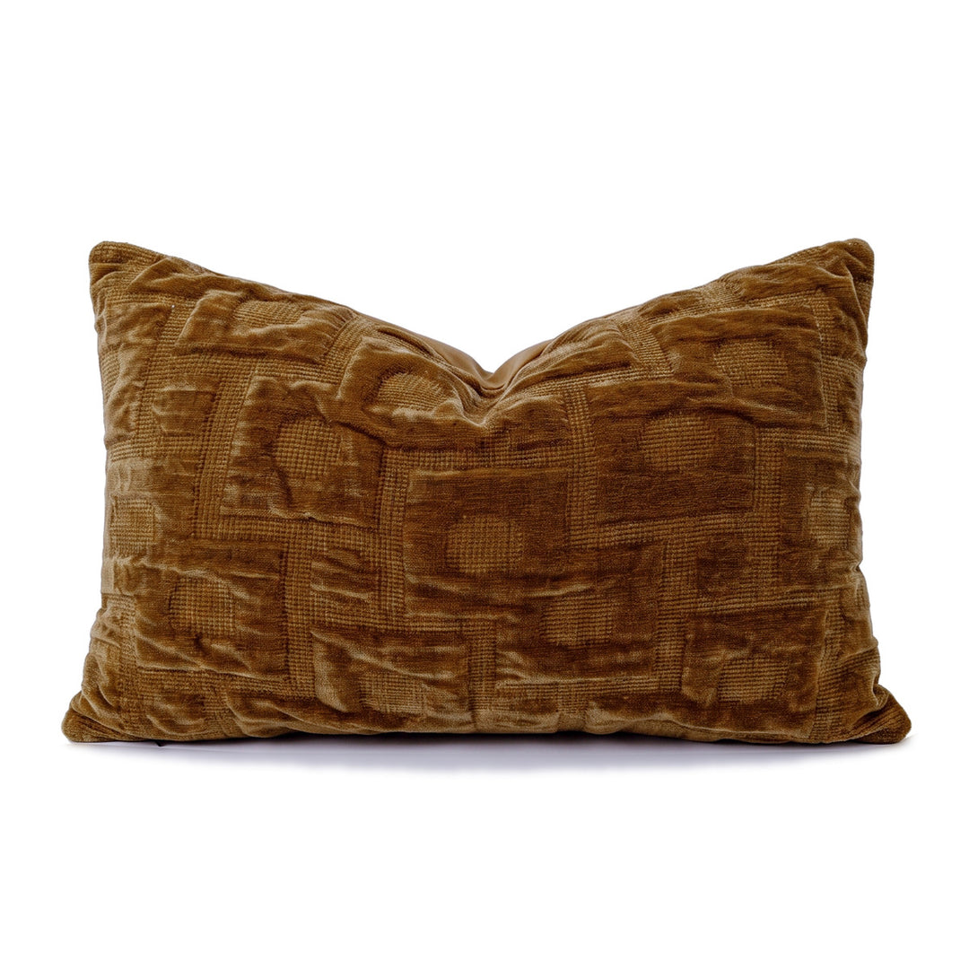 Luxurious velvet decorative pillow