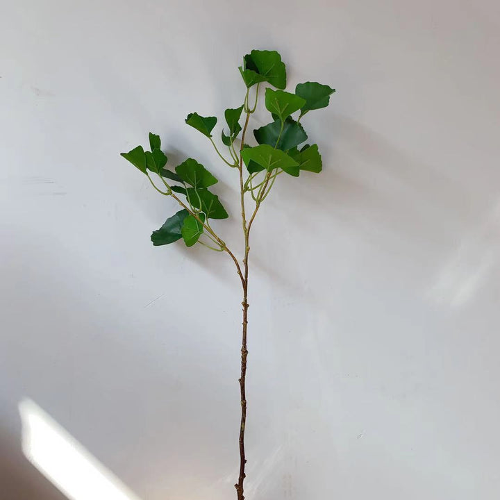Ginkgo Biloba Decorative Stem