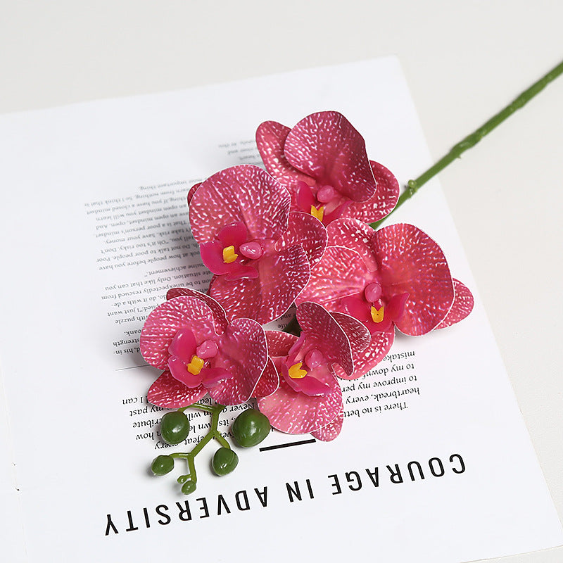 Realistic Orchid Floral Stem