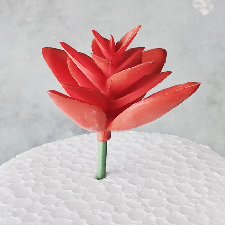 Decorative Succulent Stones Stornfield