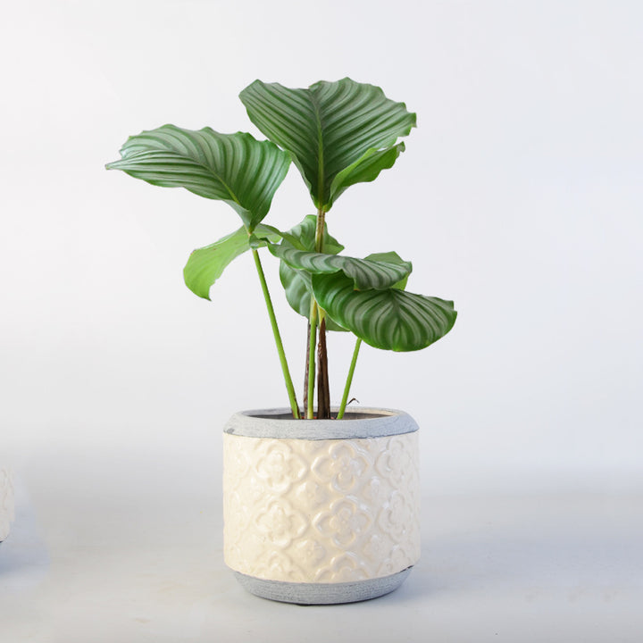Flower pot Stornfield