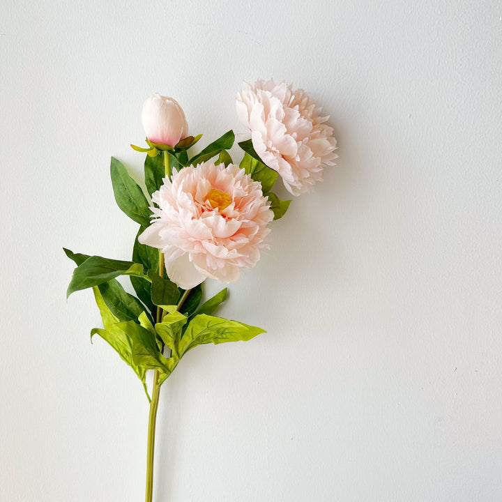 Faux Peony Floral Stem