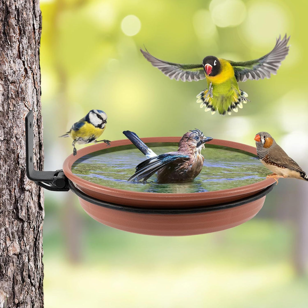 Bird Bath and Feeder Stornfield