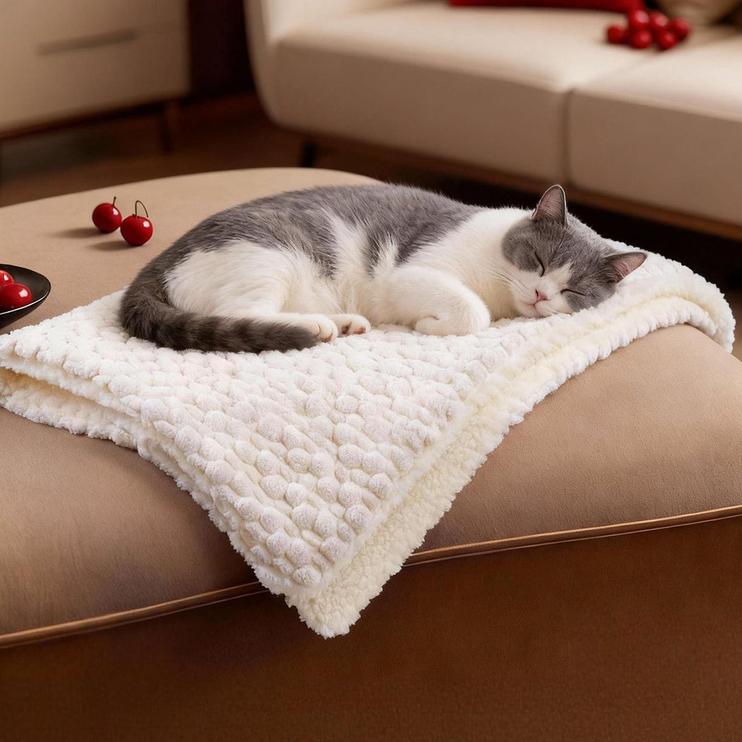 Women's Cozy and Reversible Blanket with High-Quality Surface Texture Stornfield