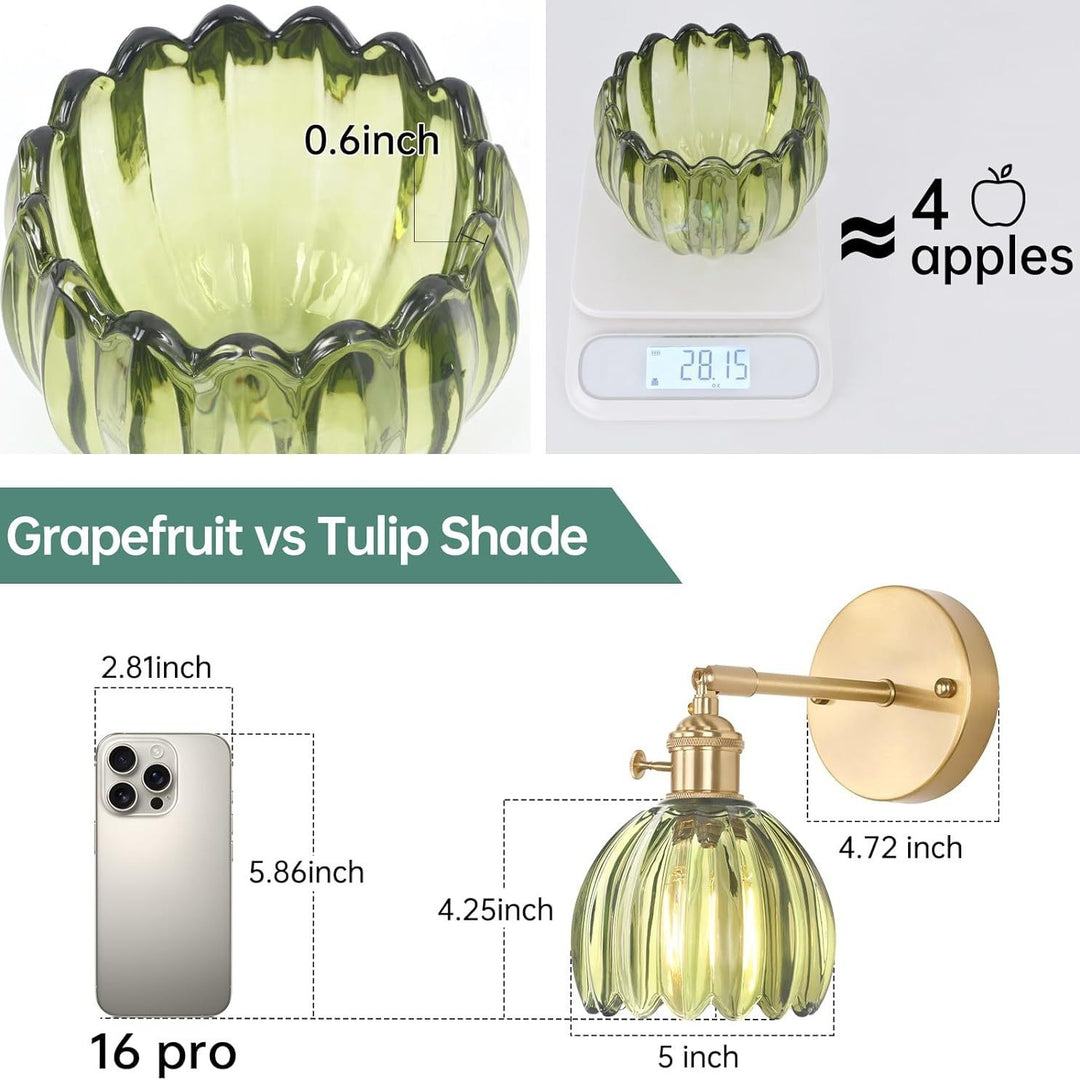 Elegant Glass Wall Sconce