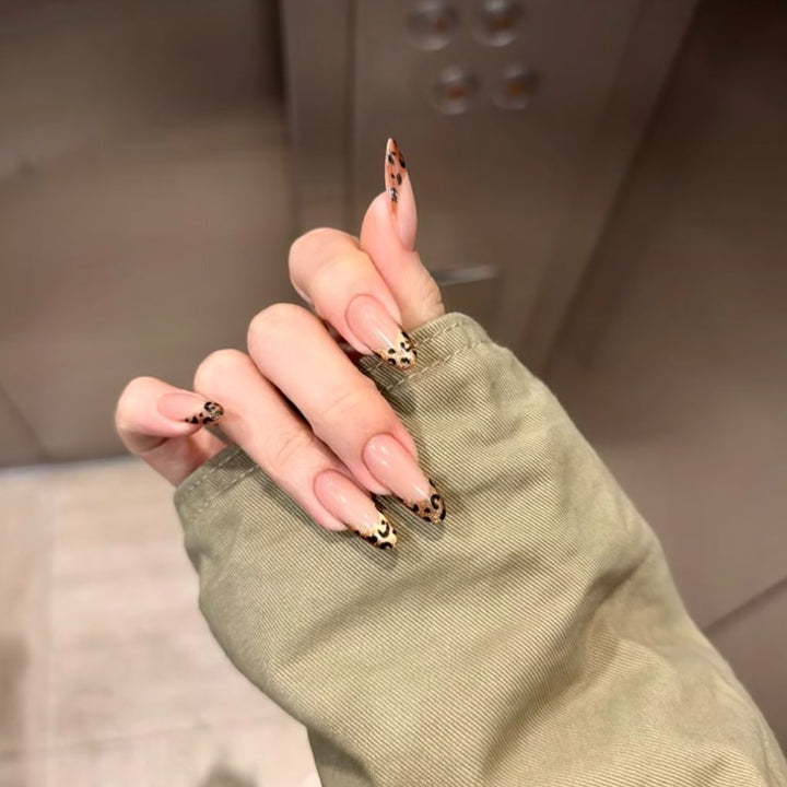 Stylish and Elegant Nail Extensions
