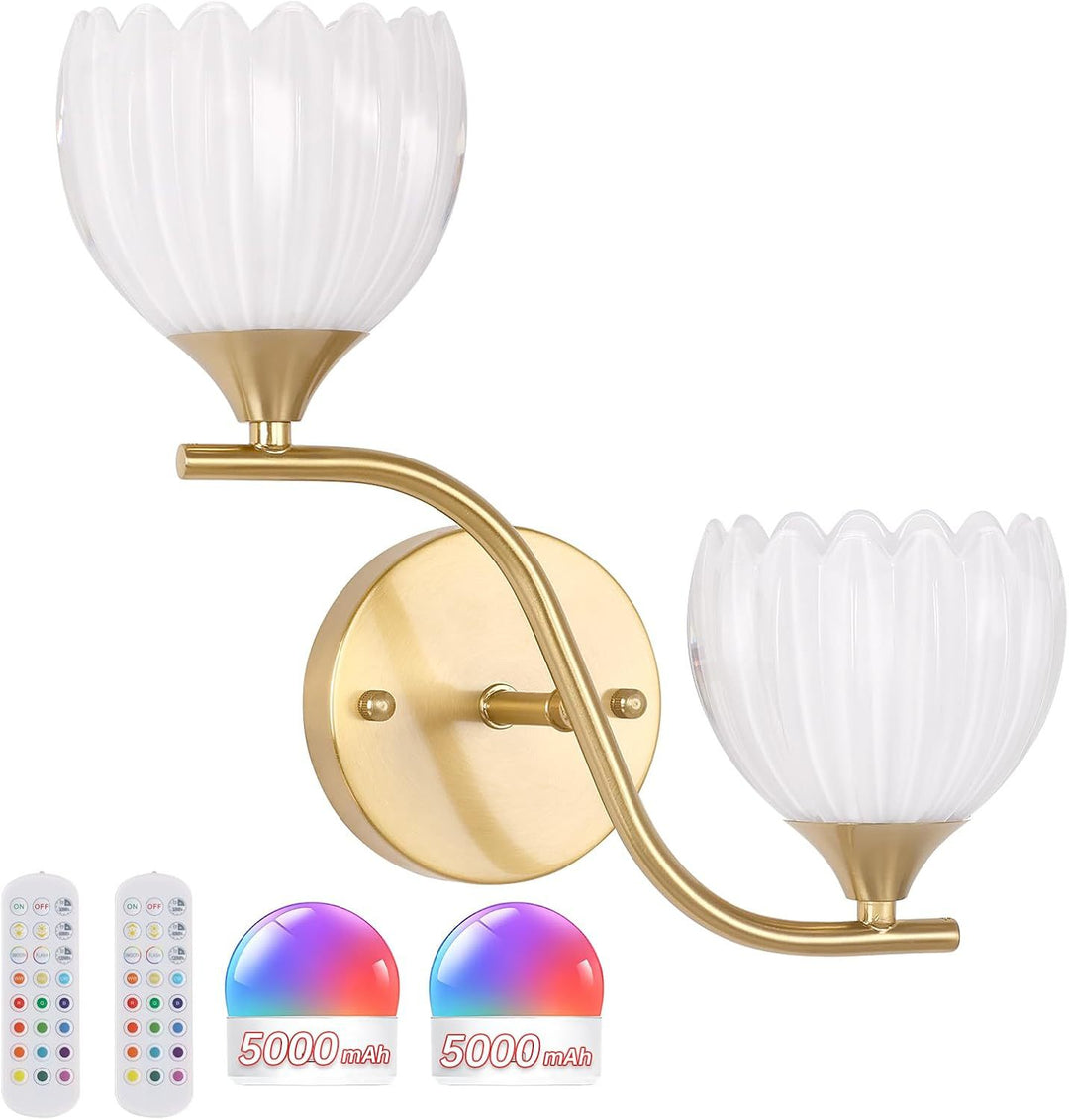 Decorative Wall Sconce