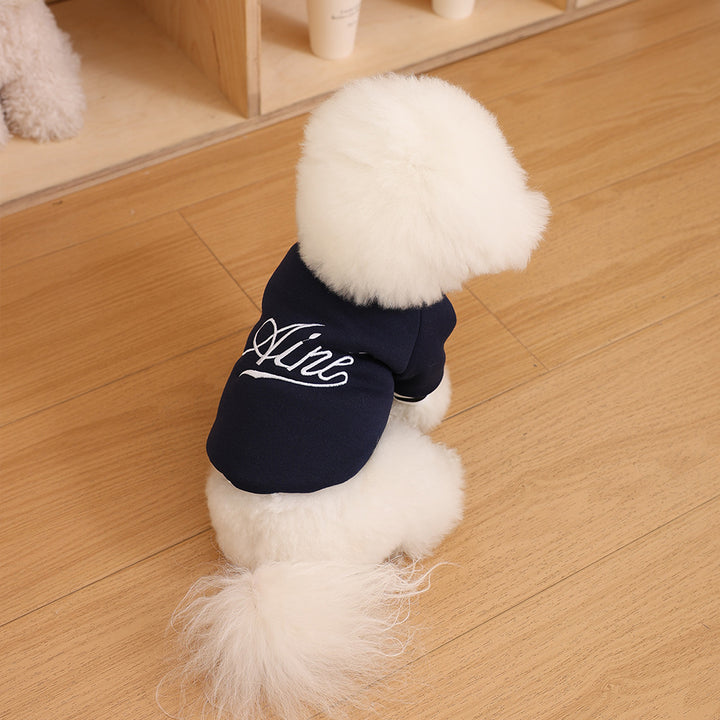 Pet Knit Polo Sweater with Ribbed Collar and Embroidered Chest