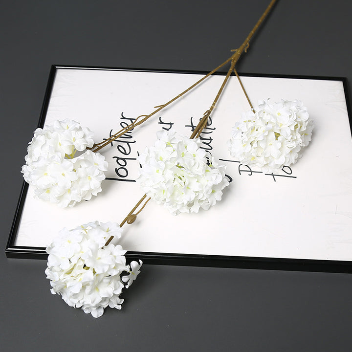 Decorative Dried Floral Stem for Home Decor