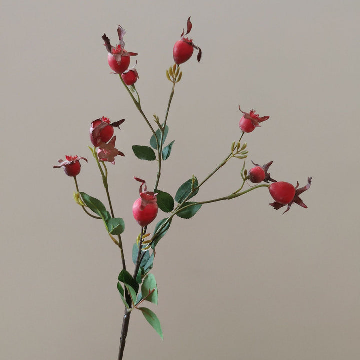 Decorative Natural Dried Floral Stem