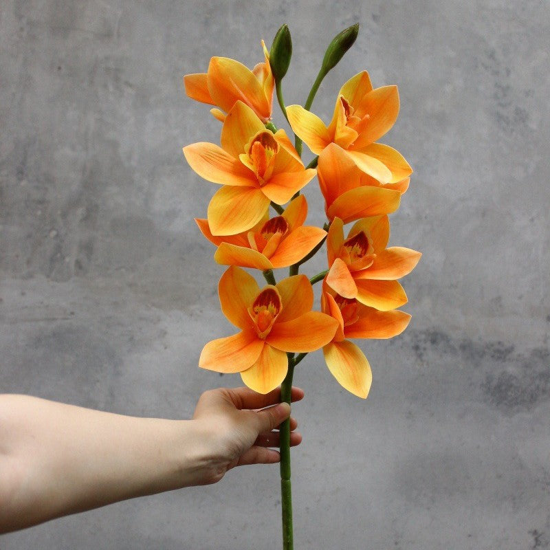 Decorative Orchid