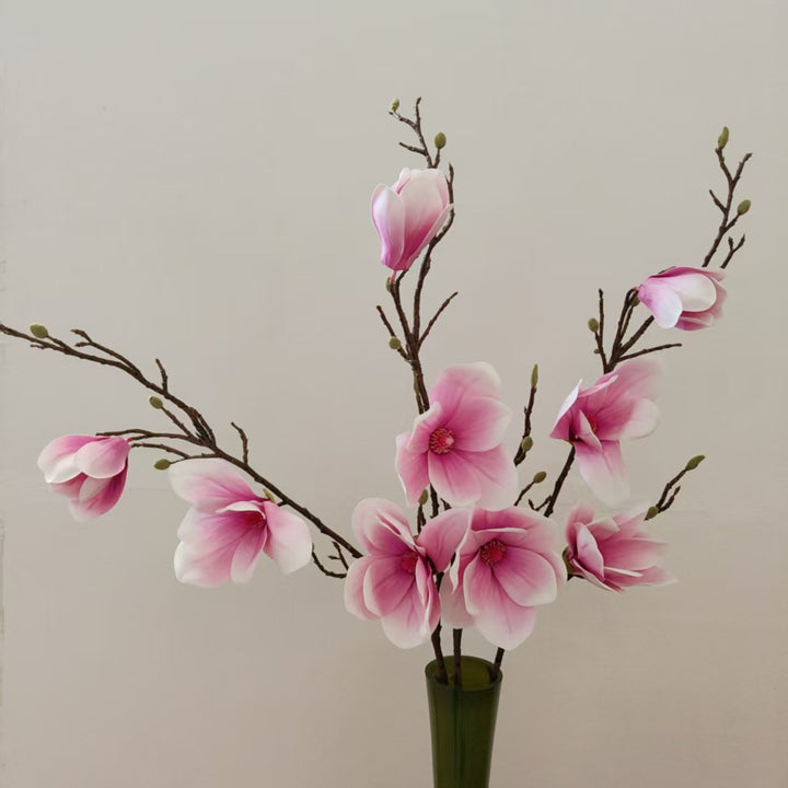 Elegant Magnolia Blossom Stem