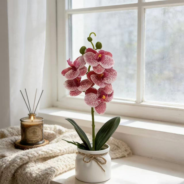 Lifelike Orchid Plant Decoration for Home Decor