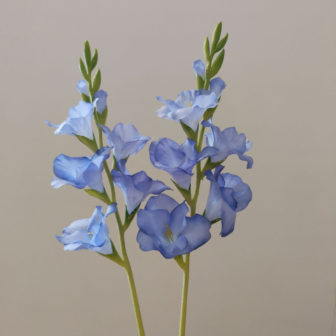 Orchid Floral Stem