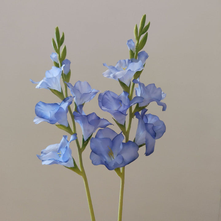 Orchid Floral Stem